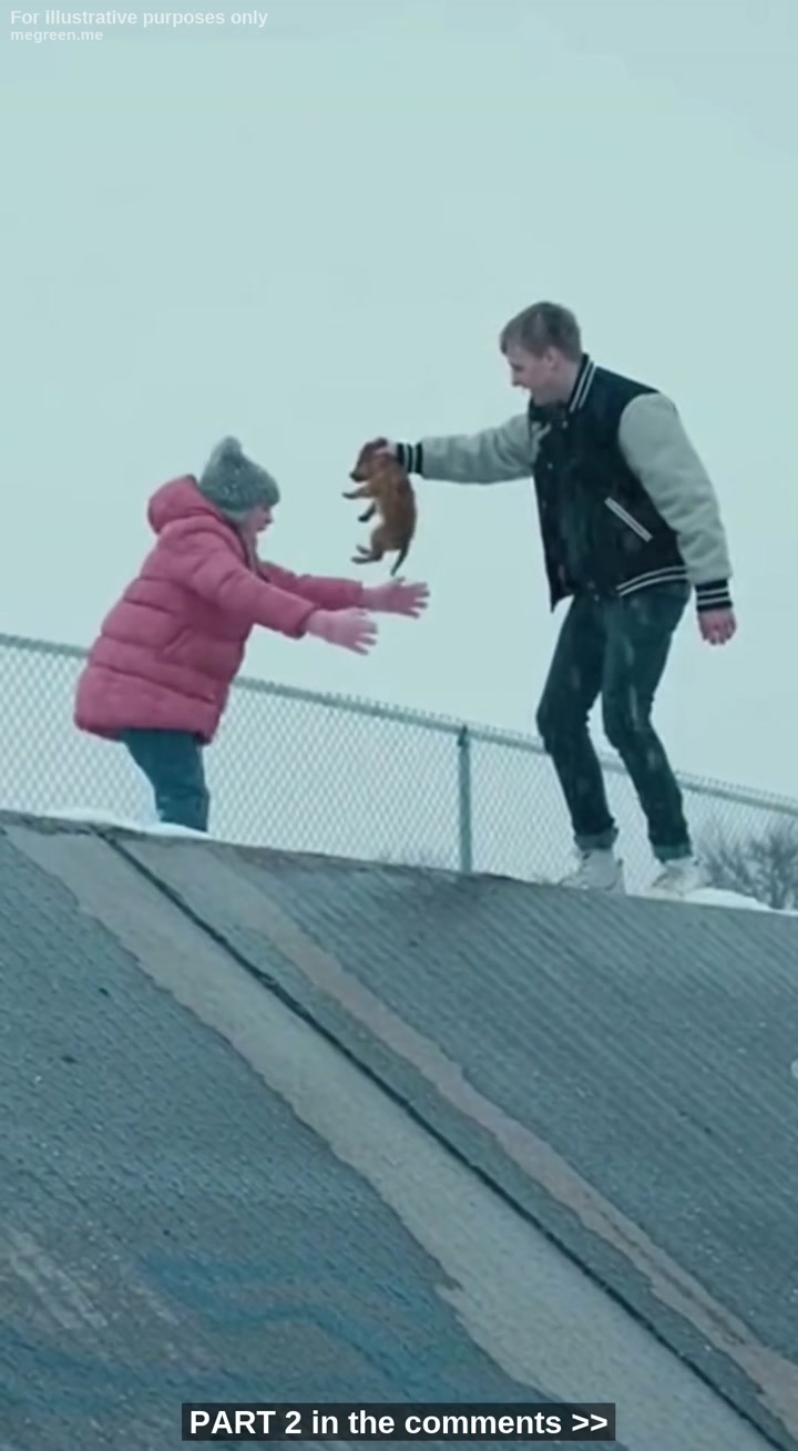 He Laughed As He Tossed My Five-Year-Old Sister’S Puppy Into The Freezing Drainage Ditch Like A Piece Of Trash