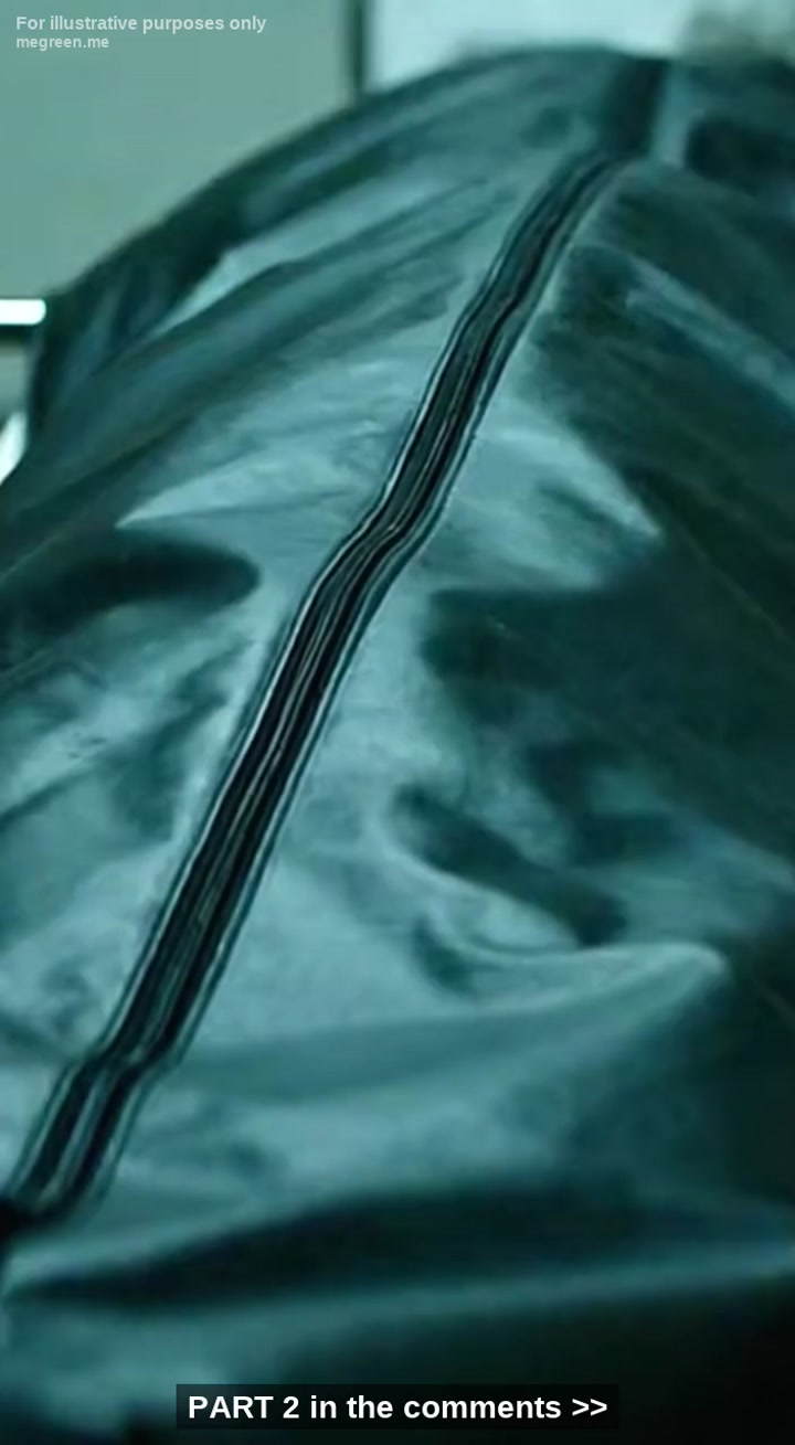 IโVe Been A K9 Handler For Twelve Years