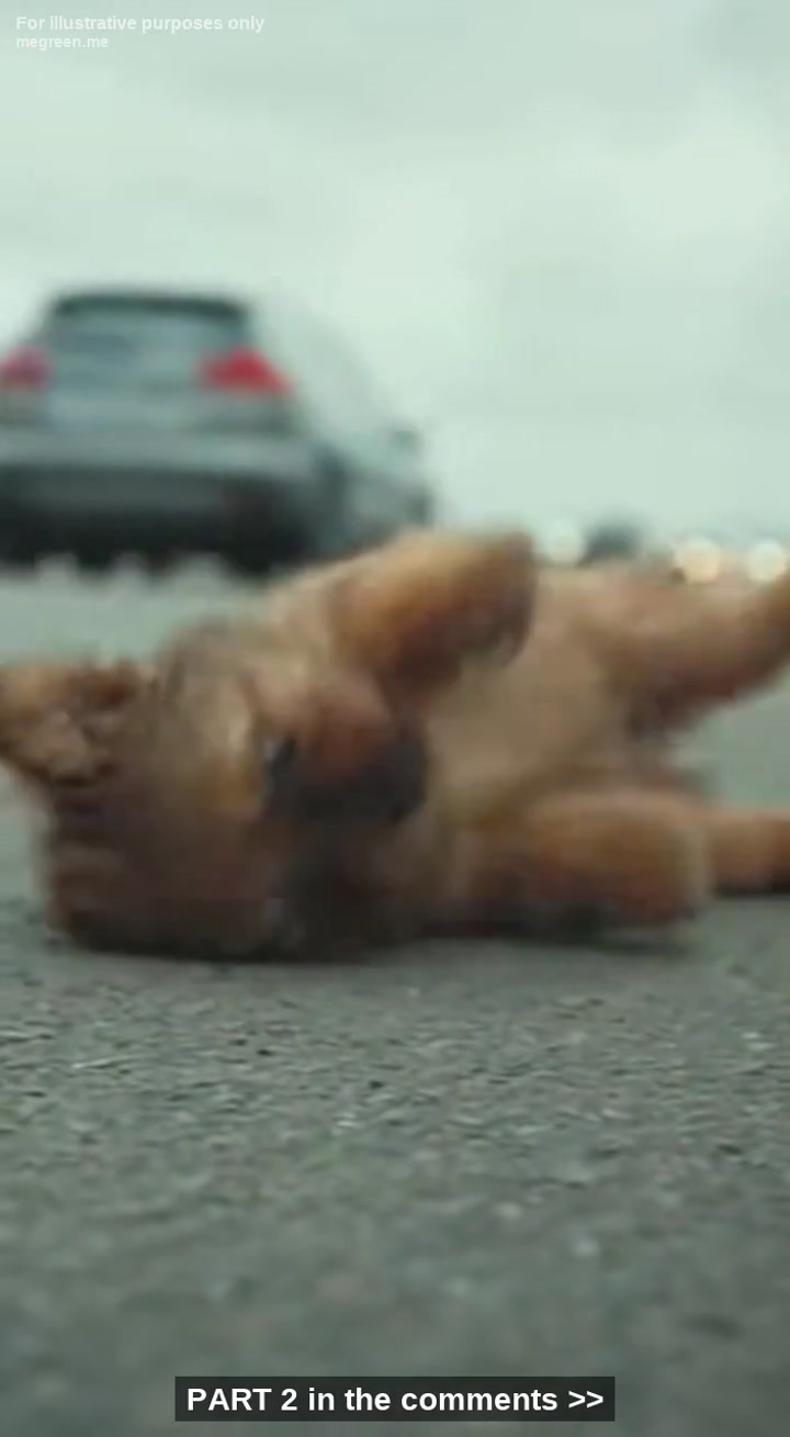 I Watched The Black Truck Swerve Ahead Of Me