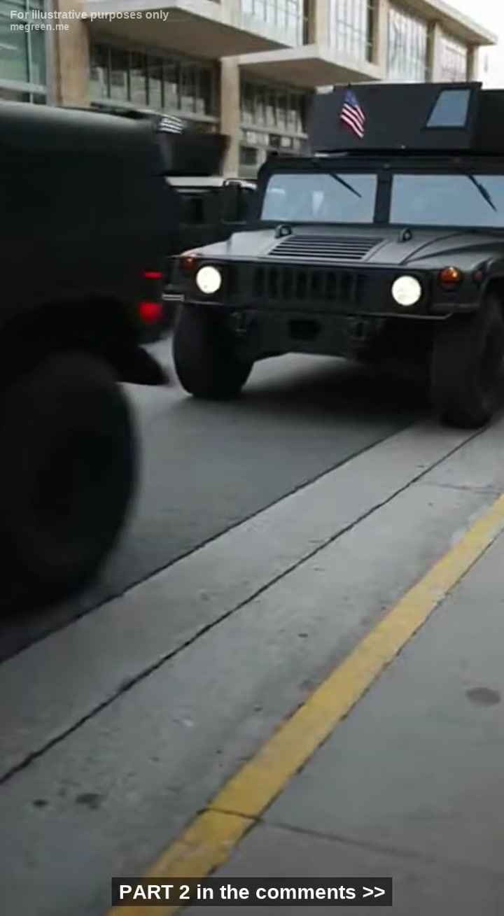 He Thought Kicking My Sleeping Dog For A Tiktok Video Was Funny