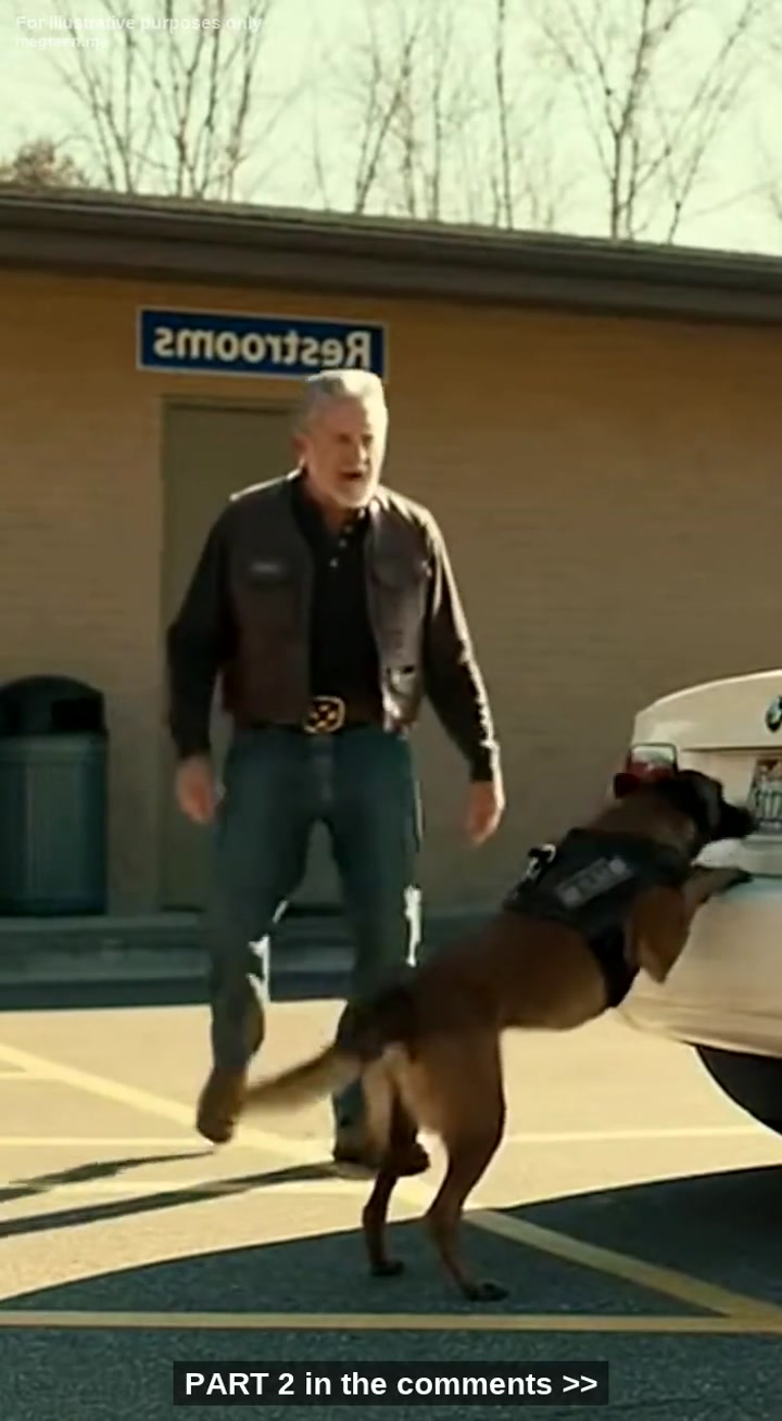 I Thought We Were Just Stopping For A Quick Stretch, But My Retired K9 Partner Just Went Into “Combat Alert” At A Random Car Trunk