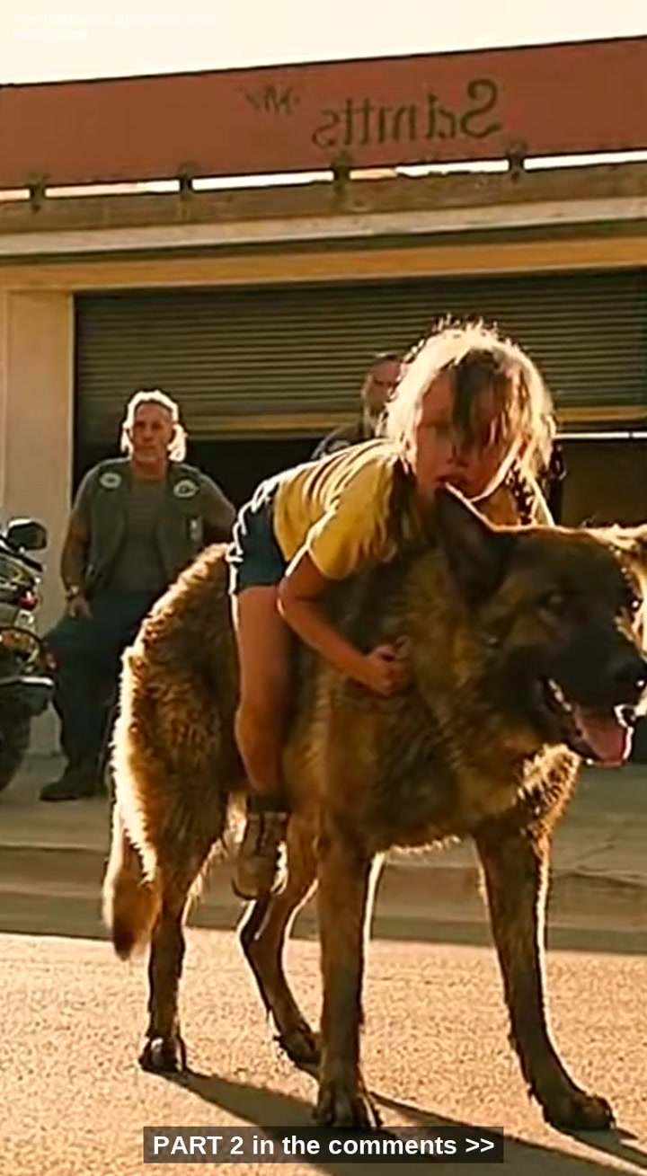 The Day A Dog Traded His Life For A Whisper: Why I Let A 7-Year-Old Girl Into The Deadliest Biker Club In California