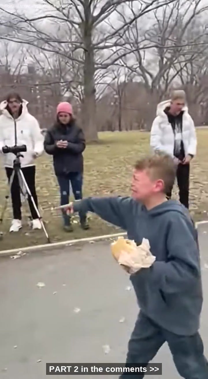 Little Boy Sobbed: “They Hurt My Grandpa At Central Park, He Can’T Hold On Much Longer” – Then 50 Hells Angels Rolled In, Stunning Every Bully