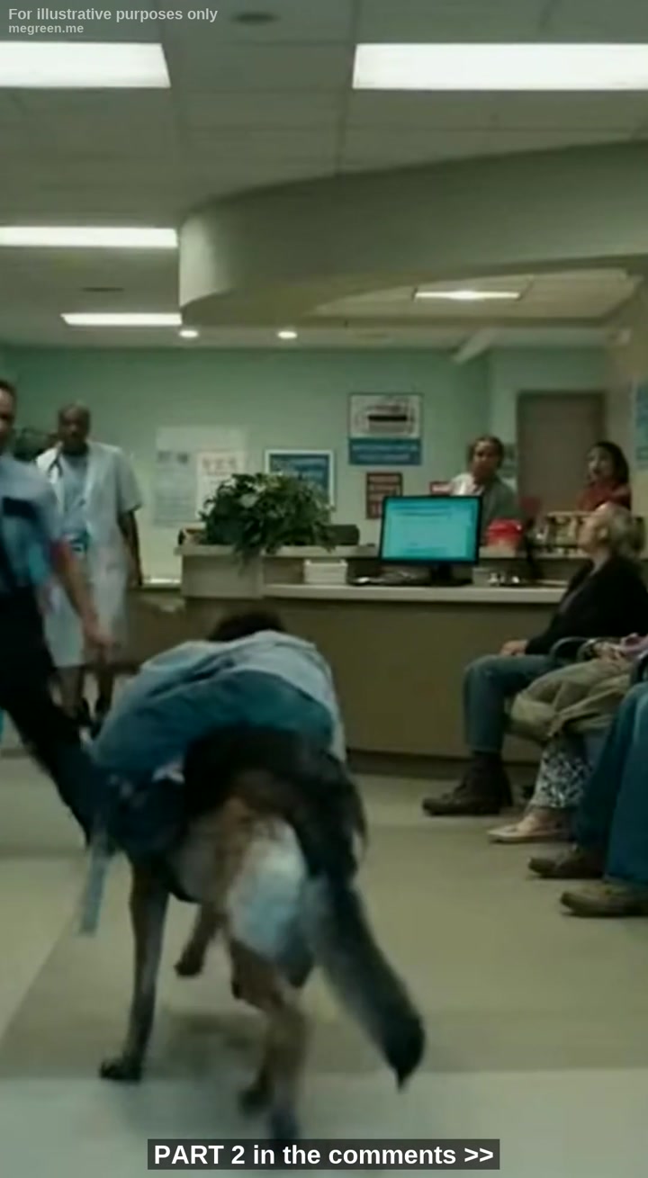 A Filthy German Shepherd Burst Into The Er Carrying A Child, But When I Looked At His Collar And Froze – That Wasn’T A Stray, It Was My Dead Husband’S Dog Returning From The Grave