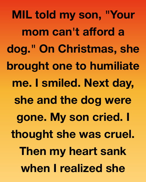 The Hidden Cost Of A Christmas Wish