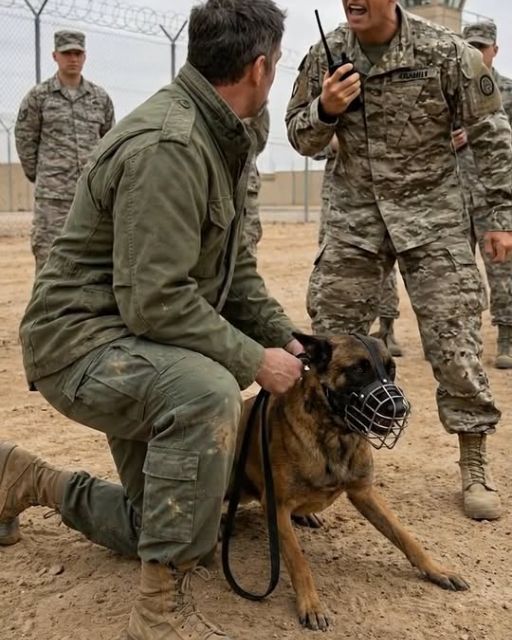 They Were About To Put The “monster” Down