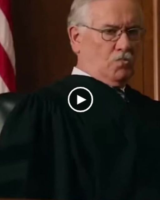 There Are No Female Seals!” The Judge Yelled