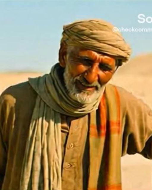 The Sergeant Called Me Paranoid. Then The Shepherd Covered His Ears.