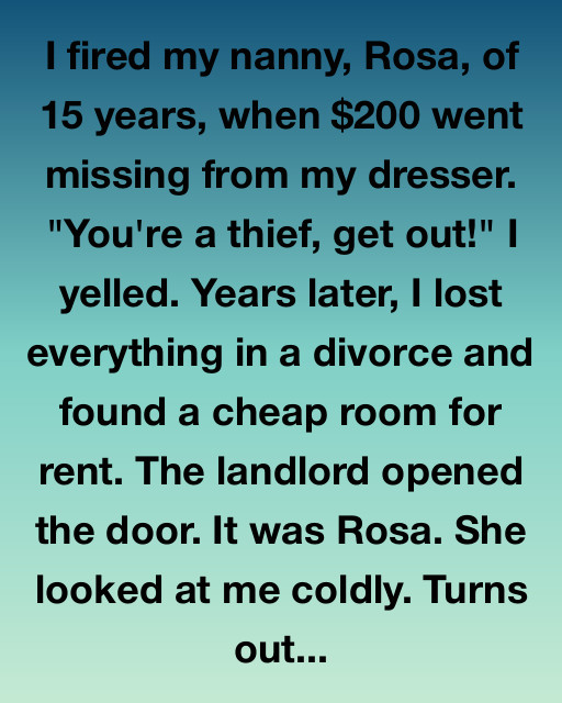 I Fired My Nanny For Stealing And Lost Everything Only To Find Her Years Later When I Had Nowhere Else To Go