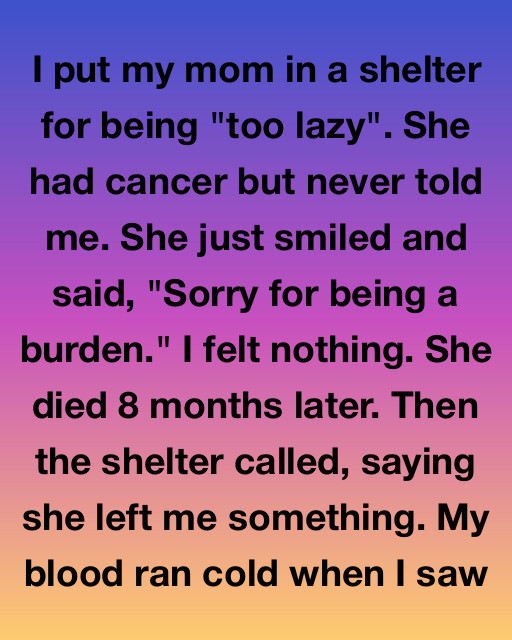 I Put My Mom In A Shelter For Being Too Lazy Only To Discover…