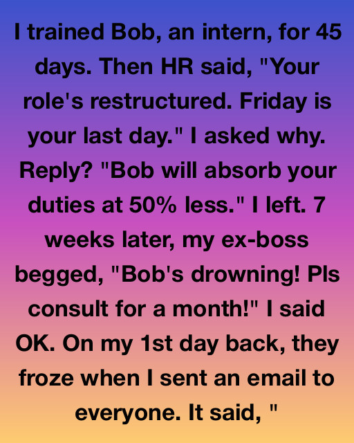 I Trained My Replacement Only To Be Fired, But Coming Back As A Consultant Taught Me Exactly What I Was Worth