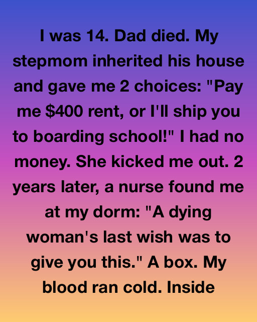 I Was Forced Out Of My Home At Fourteen By A Cruel Stepmom, But A Mysterious Box From A Dying Woman Revealed The Truth About My Father’s Final Gift