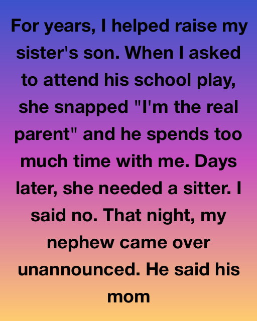 I Thought I Was Just The Helping Hand In My Nephewโs Life Until A Single Night Revealed The Truth About My Sisterโs Bitterness