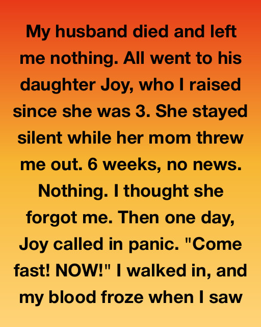 I Raised Her Like My Own Daughter Only To Be Cast Out When Her Father Died, But The Panic In Her Voice Led Me To A Secret That Changed Everything