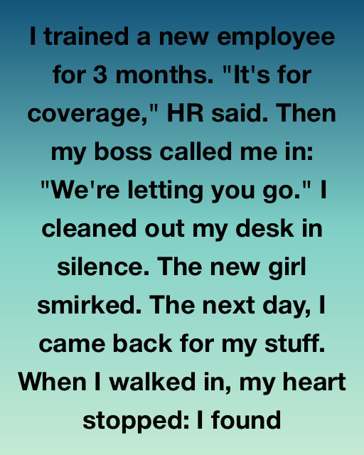 I Trained My Replacement For Three Months Only To Be Fired, But Coming Back For My Final Box Taught Me That Corporate Loyalty Is Nothing Compared To The Truth