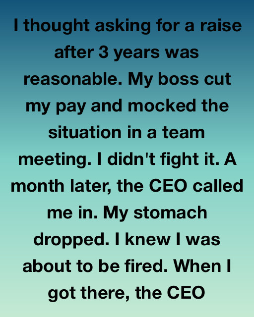 I Thought Asking For A Raise Was Reasonable, But My Boss Tried To Destroy My Career Before A Surprise Call From The CEO Changed Everything