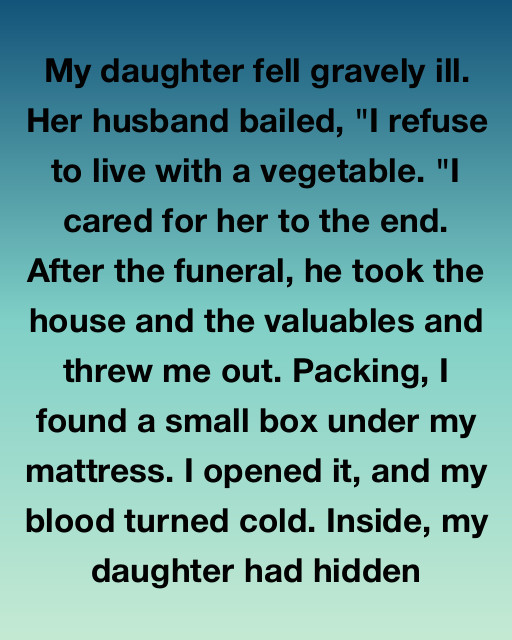 I Found The Truth Behind My Daughter’s Secret Sacrifice After Her Husband Threw Me Out Of The Home We Shared
