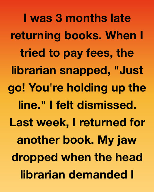 I Was Three Months Late Returning Books And Thought I Was Just A Nuisance, But The Librarianโs Secret Reason For Snapping At Me Changed Everything