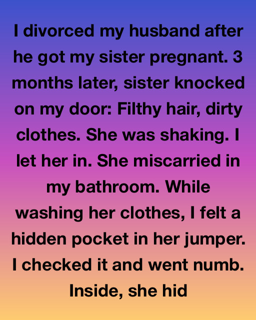 I Divorced My Husband After He Got My Sister Pregnant, But A Secret Hidden In Her Clothes Changed Everything I Knew About The Betrayal
