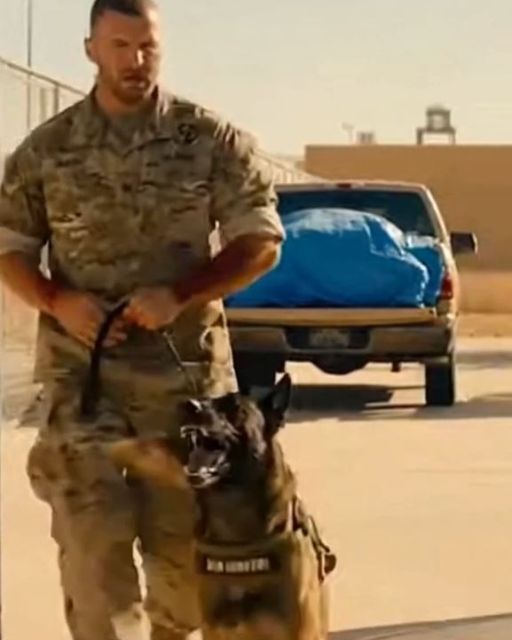 The Sergeant Ordered Me To Euthanize The โrabidโ K9. Then I Saw The Dogโs Signal.