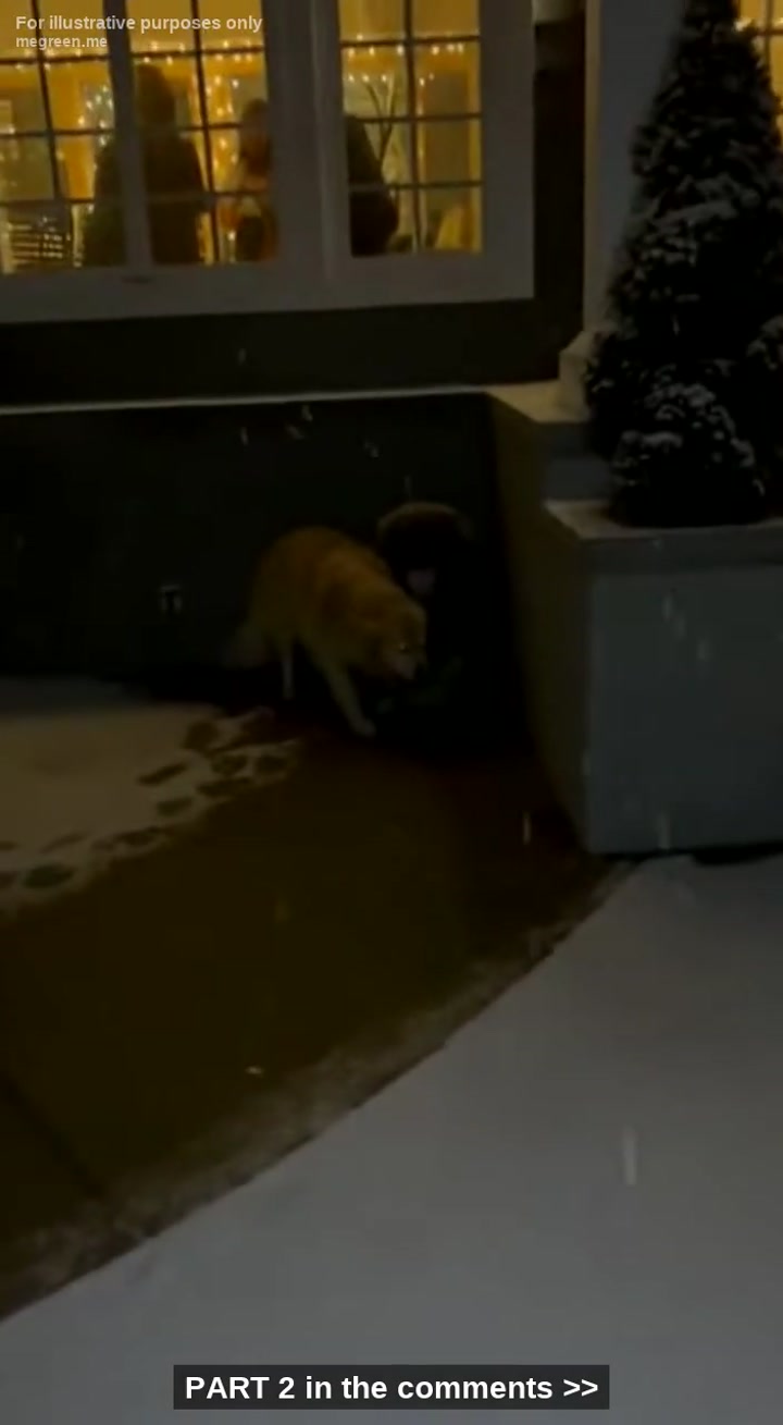 I Kicked His Boot Just To See If He Was Still Alive