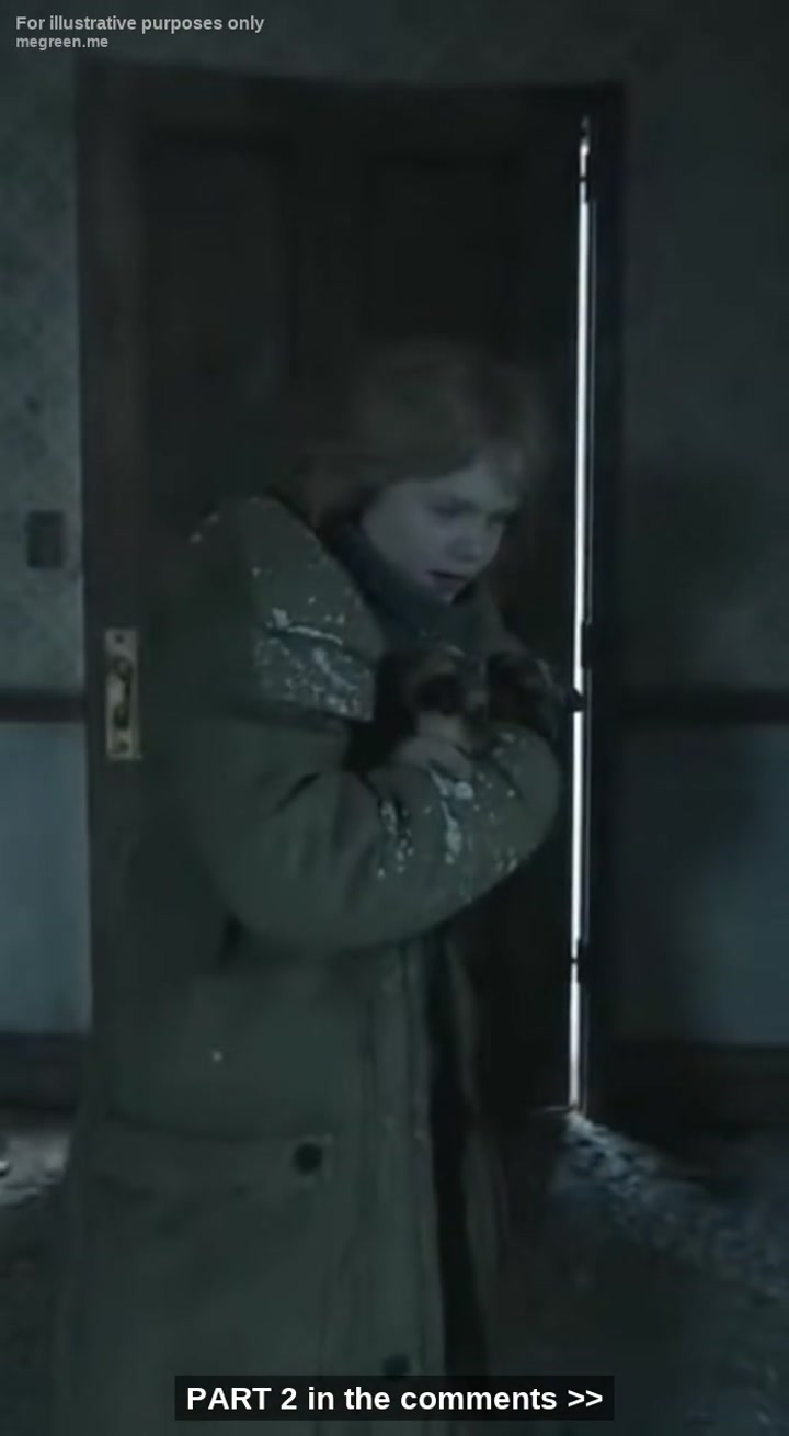 She Ignored The “”Do Not Open“” Warning During A Historic Blizzard To Save Two Freezing Creatures