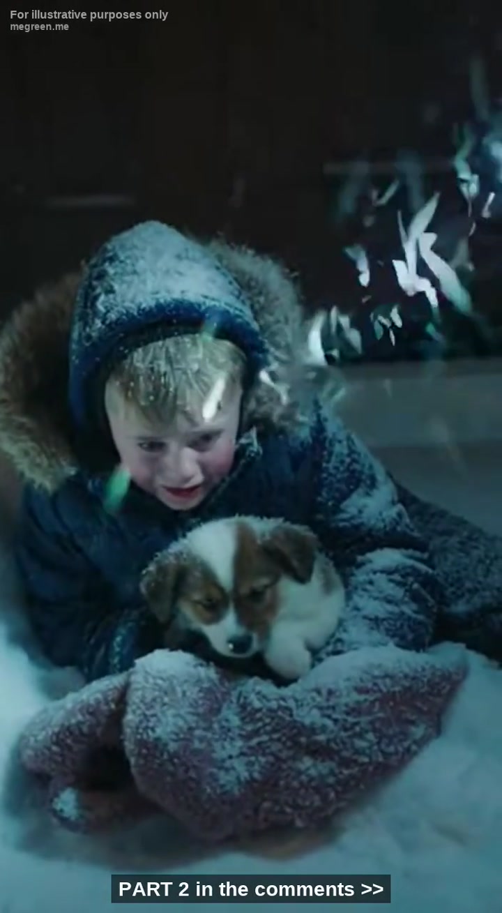 My K9 Partner Locked Up And Refused To Move