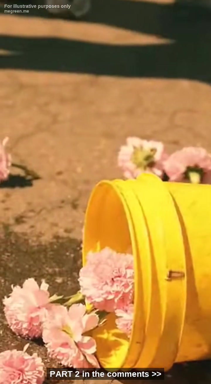 They Thought Breaking A Nine-Year-Old’S Spirit Was Just A Bit Of Afternoon Fun