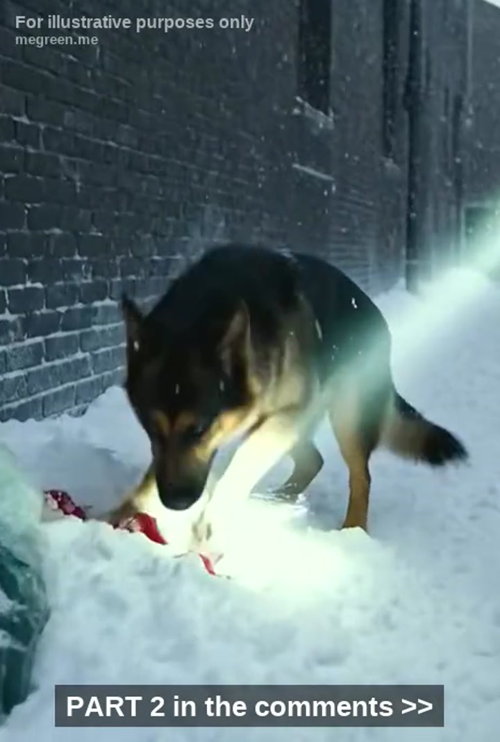 It Was -15°F And The Snow Was Burying Everything In Buffalo Faster Than The Plows Could Clear It