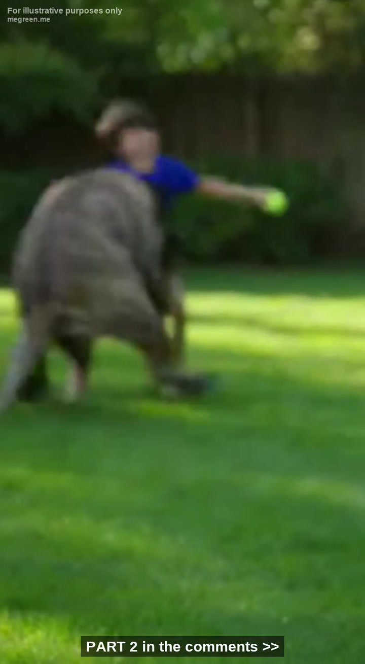 The Sound Of My Son Screaming Is Something I’Ll Never Scrub From My Brain