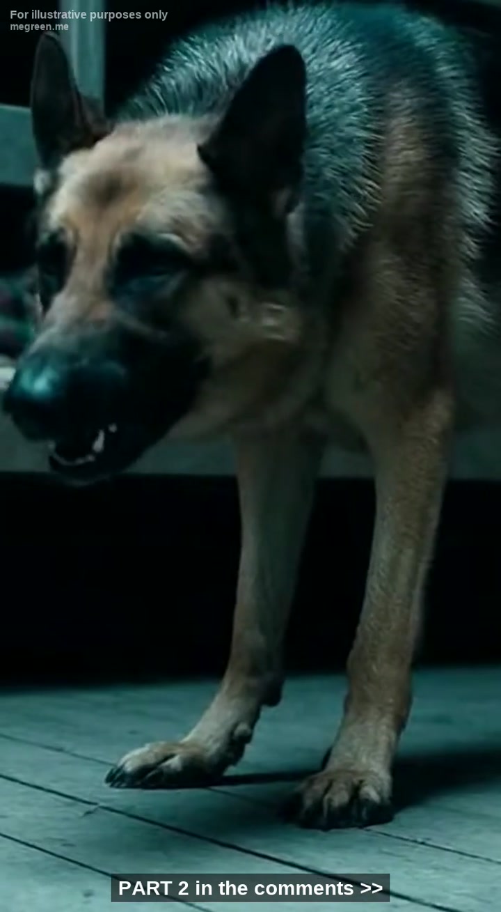 It Was Ninety-Eight Degrees In The Shade, And The Air Smelled Like Pine Needles And Something Else – Something Sweet And Rotten That I Couldn’T Quite Place