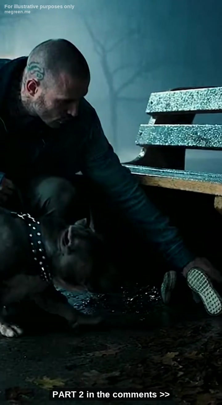 My 285-Pound Pitbull, Brutus, Usually Scares Grown Men Just By Breathing, But Tonight He Was Whining Like A Frightened Puppy While Refusing To Leave A Dark Corner Of The Park