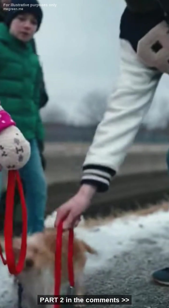 I Watched In Absolute Horror As The TownโS Untouchable Rich Kid Snatched My Five-Year-Old SisterโS Puppy And Hurled Him Into A Freezing, Icy Drainage Ditch Just To Hear Him Splash