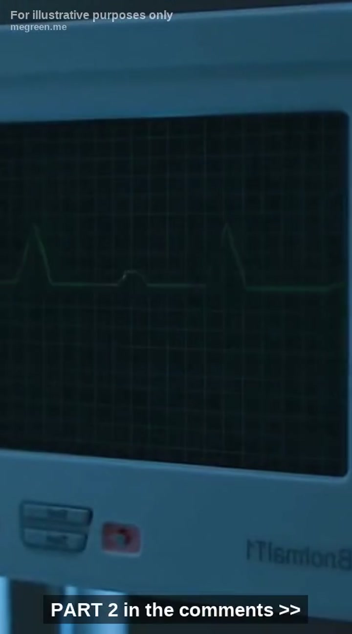 My Retired K9, A 95-Pound Killing Machine Named Baron, Was Banned From My Dying Son’S Room