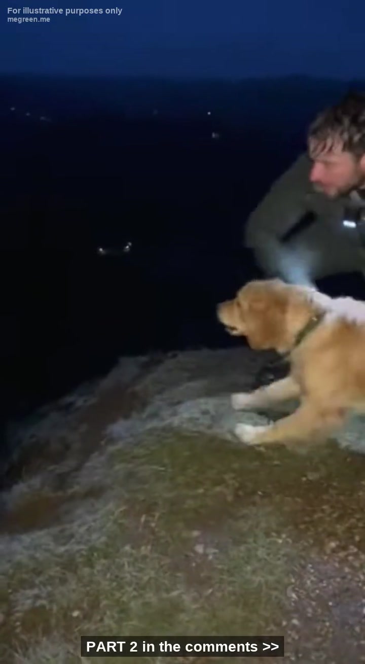 Every Night At 11:00 Pm, My Golden Retriever Would Freak Out And Drag Me Up The Hill