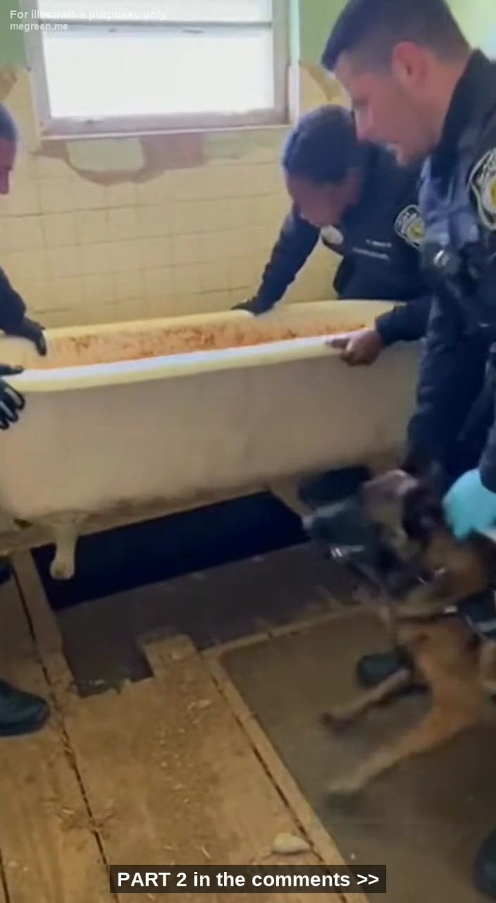 Officers Thought It Was Just A Rusty Bathtub – But Their K9 Belgian Shepherd Discovery Uncovered A Chilling Nightmare