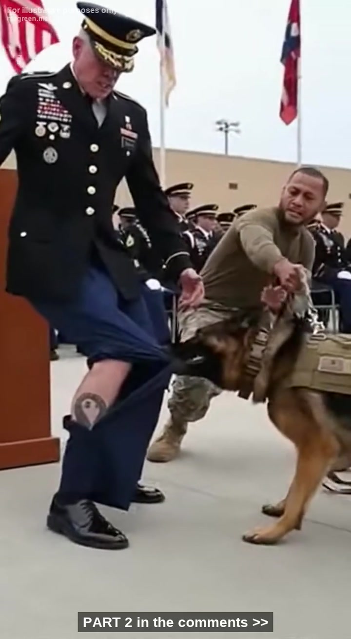 My K9 Mauled A “”Paralyzed“” War Hero