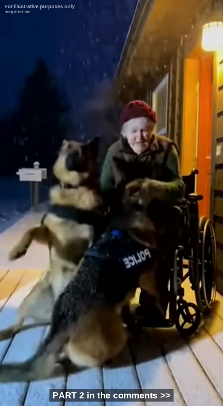 Wheelchair Elderly Woman Rescues Two Freezing K9 Police Dog