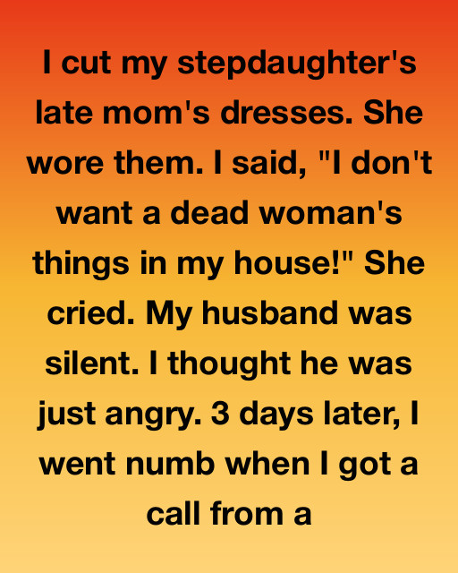 Why I Ruined My Stepdaughter’s Dresses And The Lawyer’s Call That Changed Everything