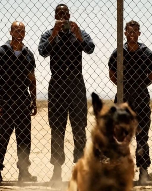 🎖️ They Threw The “new Girl” Into The K9 Pen As A Joke – But They Didn’t Know Who She Was 😱