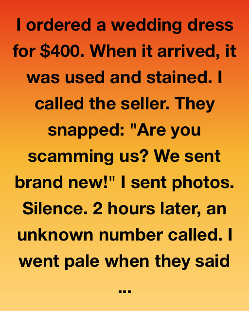 The Dress Of Discarded Dreams