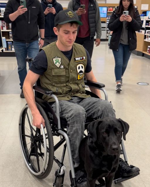 My Physical Therapist Watched A Kid Kick My Service Dog. She Didn’t Call 911. She Called Something Worse.