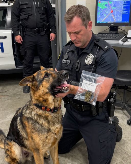 A Disabled Stray Saved Me From An Ambush. Then The Vet Checked Its Collar.