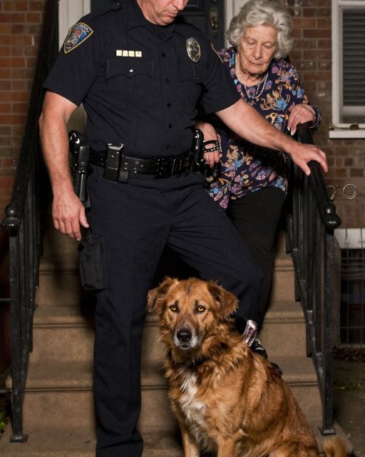 The Cop Ignored The Limping Dog. Then It Dragged Him Behind A Dumpster.