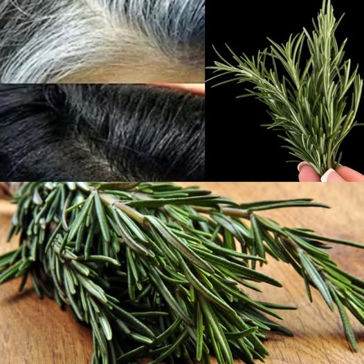 White Hair Turns Black. Hair Loss Stops. Damaged Hair Comes to Life – All with One Simple Herb
