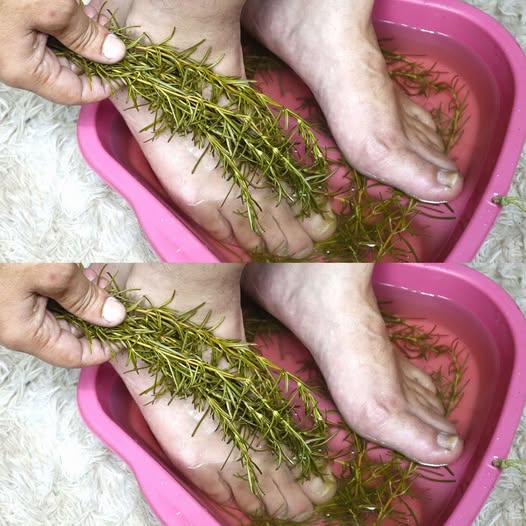 Get Rid of Pain in Your Joints, Feet, and Heels โ This Simple Rosemary Method Works When Nothing Else Does