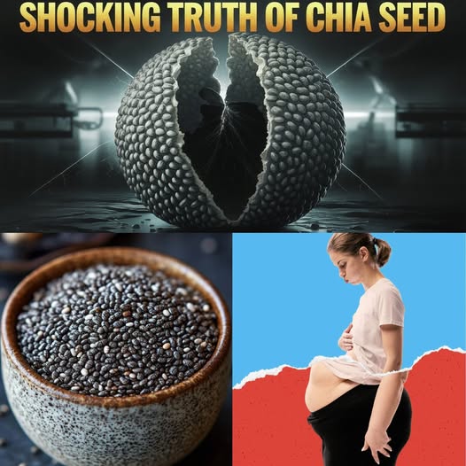 Shocking but Research-Proven Chia Seed Side Effects on Your Health