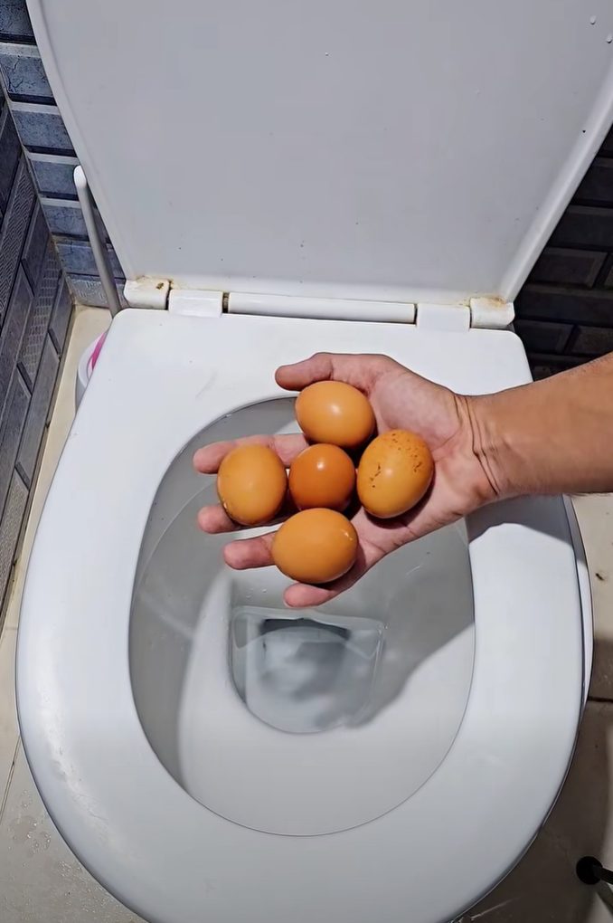 Drop a Raw Egg in Your Toilet – This Unusual Cleaning Hack Actually Works