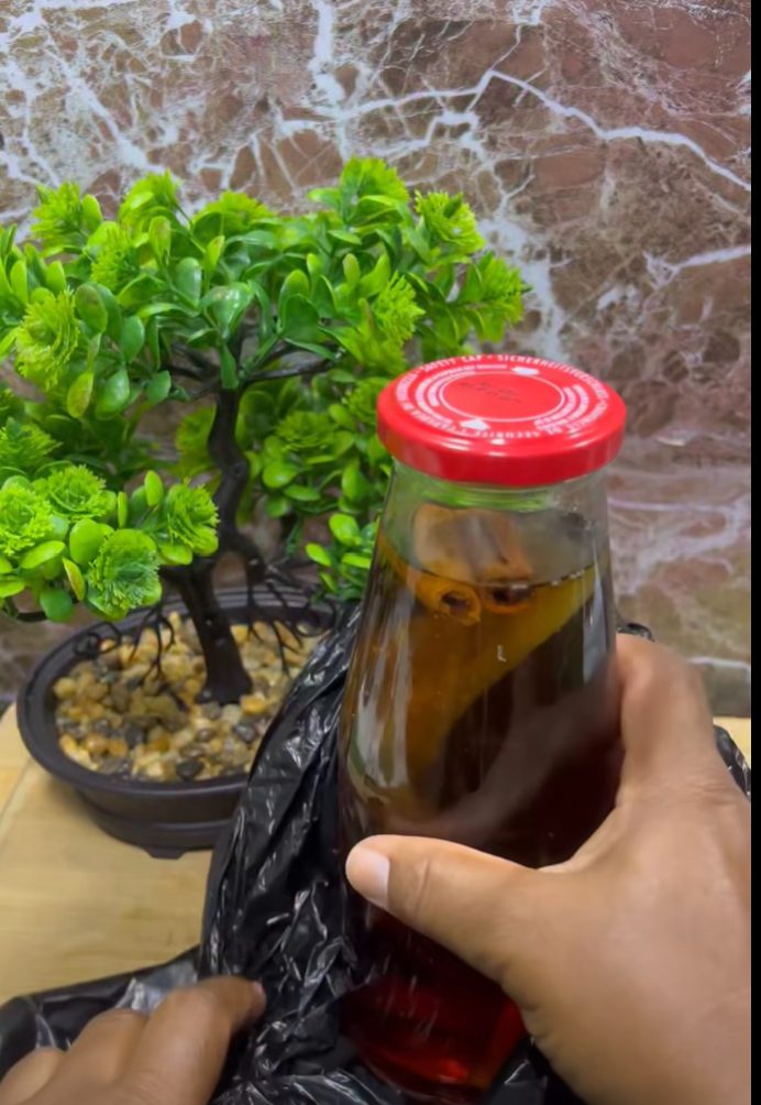 Cinnamon-Infused Liquid and Aloe & Vinegar Tonic โ Two Simple Home Preparations for Digestion and Skin