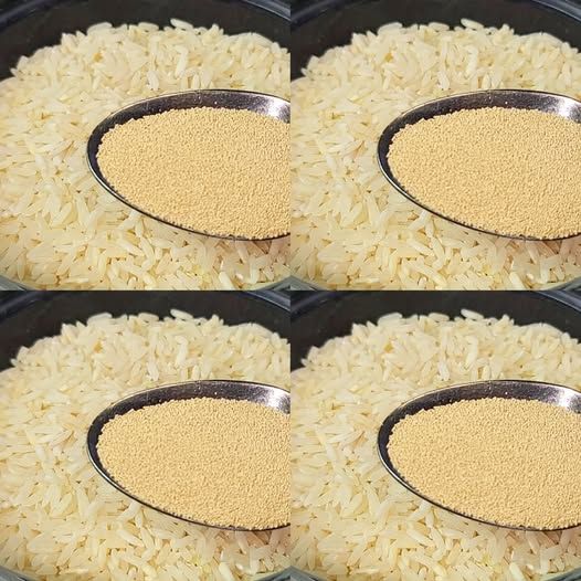 Mix Yeast with Rice – You Will Be Delighted! A Long-Forgotten Recipe